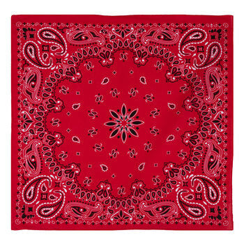 Hankey Cod Hanky Code 101: What Does Each Color Mean? – Wicked Fox